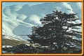 Cedars of Lebanon: Terrain Graphics